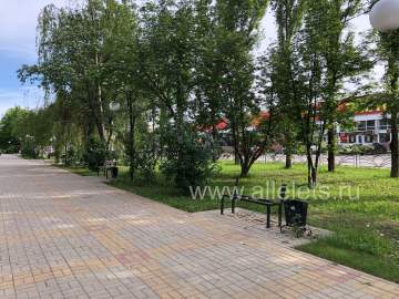 Сначала в сквере Харченко пришли в негодность лавки и плитка, а теперь исчезают целые скамейки!