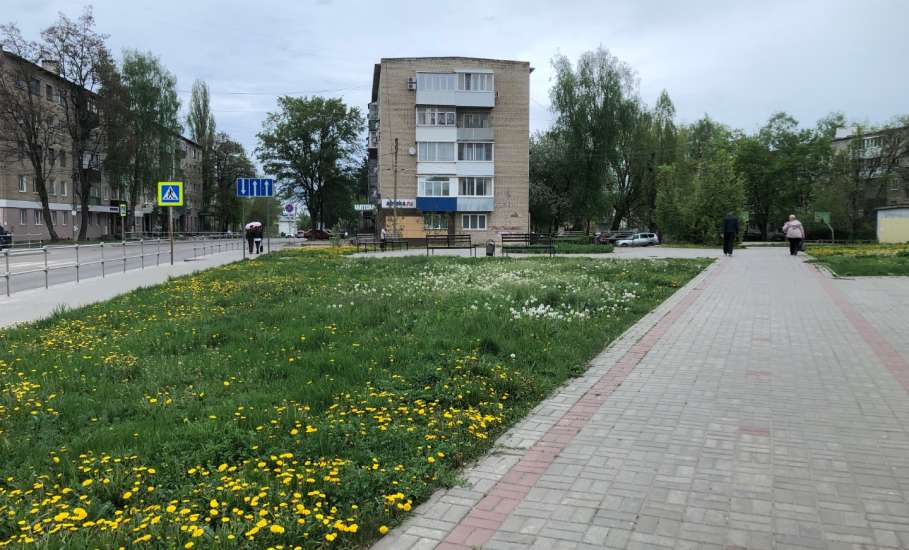 Вниманию федеральных и региональных льготников! Новые поступления в аптеки "Липецкфармации"
