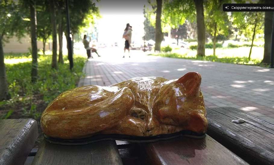Пост добра про елецкого кота!