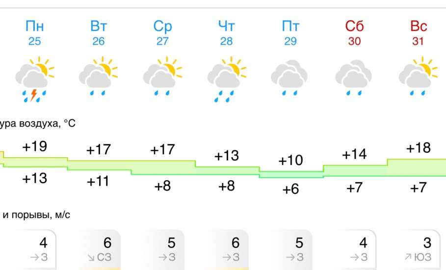 Прогноз погоды на следующую неделю в Ельце. Дожди всю неделю!