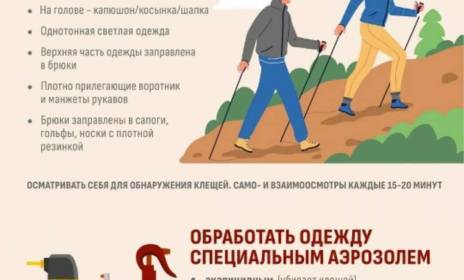 Дела с клещами из года в год становятся всё хуже в Липецкой области!