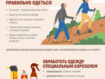 Дела с клещами из года в год становятся всё хуже в Липецкой области!