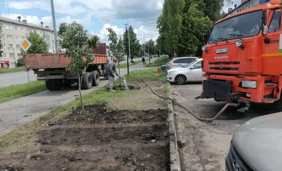 На улице Коммунаров приступили к высадке первой партии молоденьких лип