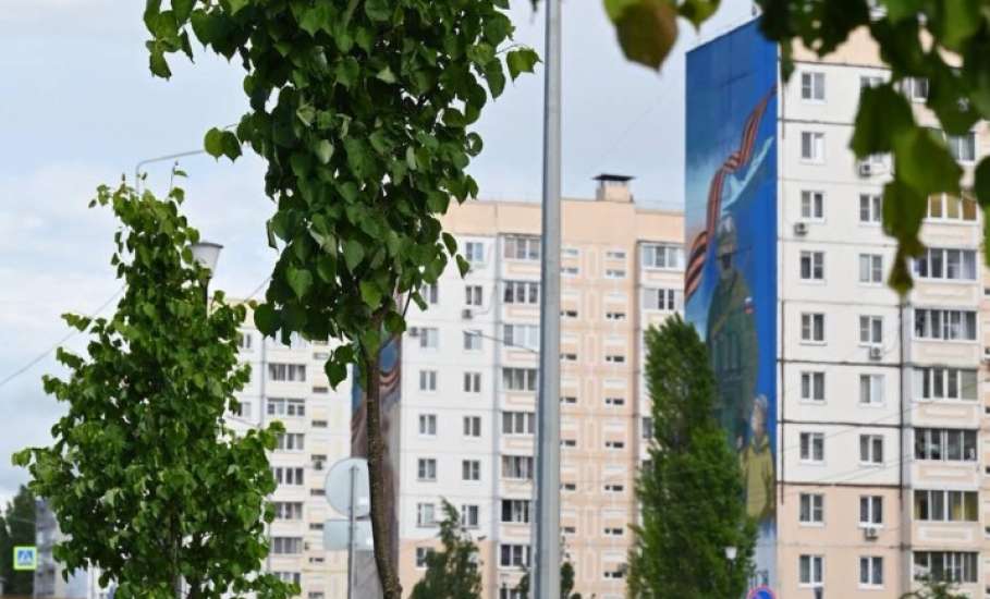 Вячеслав Жабин: &laquo;Завершить тему благоустройства хочу приятной новостью!