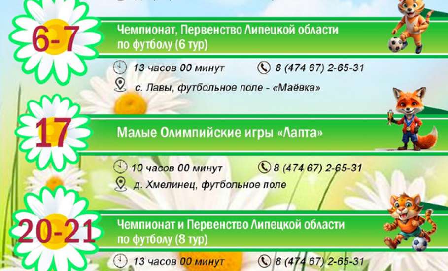 Календарь спортивных мероприятий Елецкого муниципального округа на июнь 2026 года