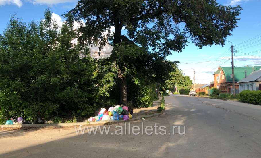 Коллективная жалоба жителей улицы Льва Толстого на компанию по сбору мусора &laquo;Тэко Сервис&raquo;