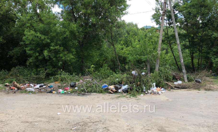 Куда делась целая контейнерная площадка для сбора мусора перед Знаменским женским монастырём?!