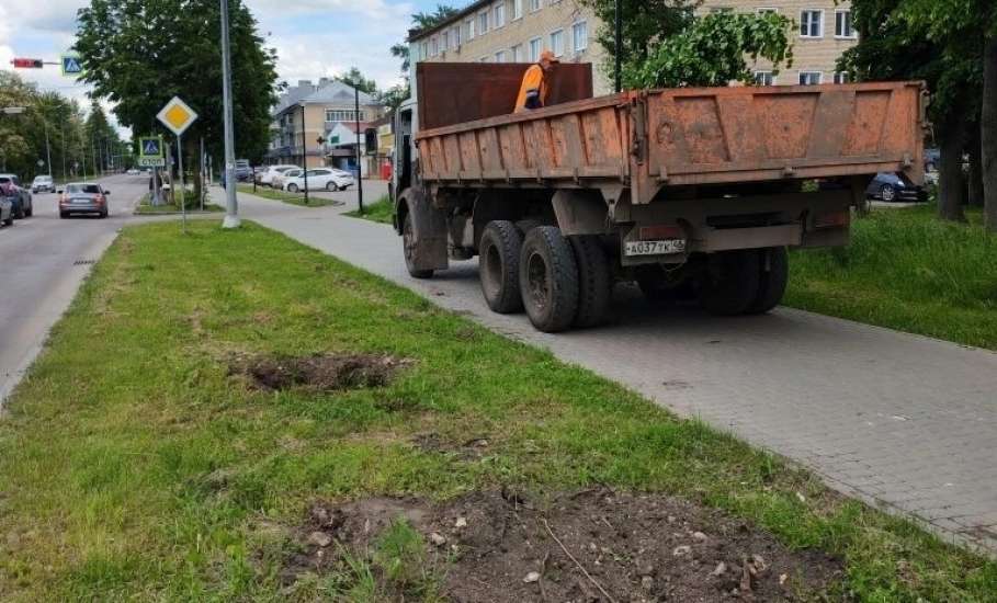 81 липу посадили по улице Клммунаров. Это была акция!