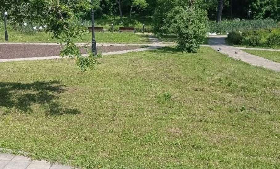 В Петровском парке привели газоны в порядок