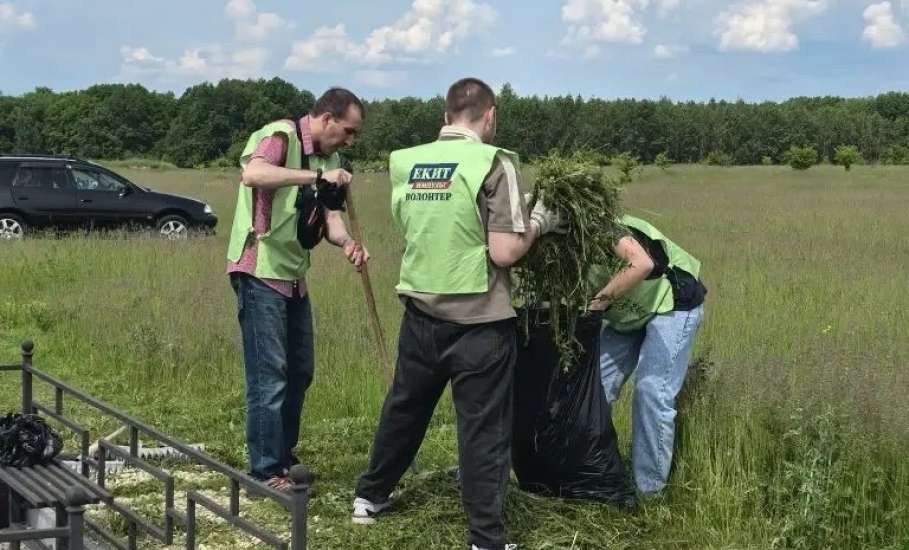 На Аллее Славы города Ельца прошел очередной субботник