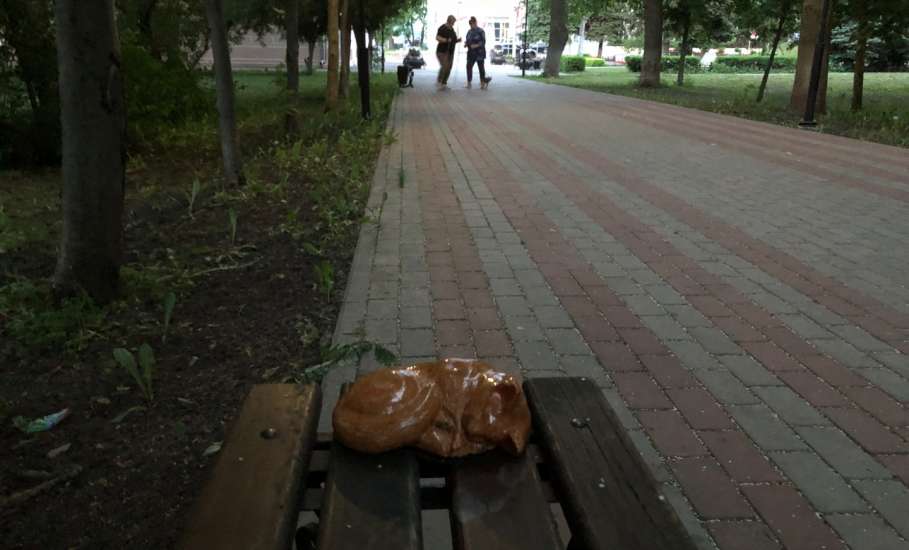 Театральный обман: ельчанин перевел мошенникам 12 тысяч за несуществующие билеты