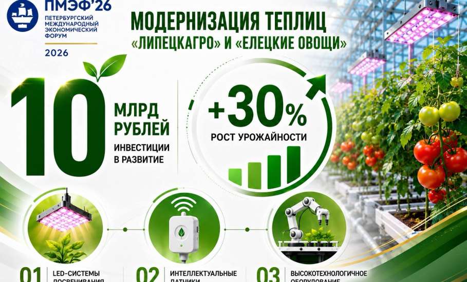 &laquo;Елецкие овощи&raquo; станут умнее
