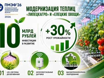 &laquo;Елецкие овощи&raquo; станут умнее