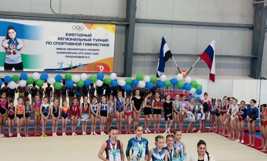 ЕЛЕЦКИЕ ГИМНАСТЫ УСПЕШНО ВЫСТУПИЛИ НА СОРЕВНОВАНИЯХ В НАЛЬЧИКЕ!