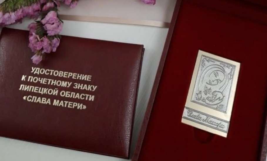 Областную премию 75 тысяч рублей получат лучшие отцы и матери Липецкой области