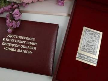 Областную премию 75 тысяч рублей получат лучшие отцы и матери Липецкой области