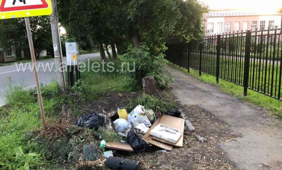 Печальная картина сложилась по улице Льва Толстого с вывозом мусора!