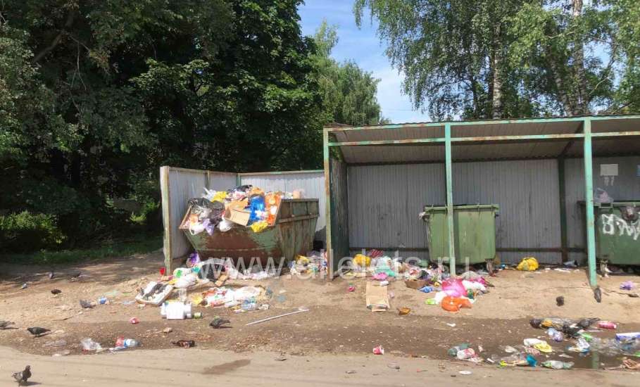 В Ельце продолжает царить антисанитария на контейнерных площадках по сбору мусора!