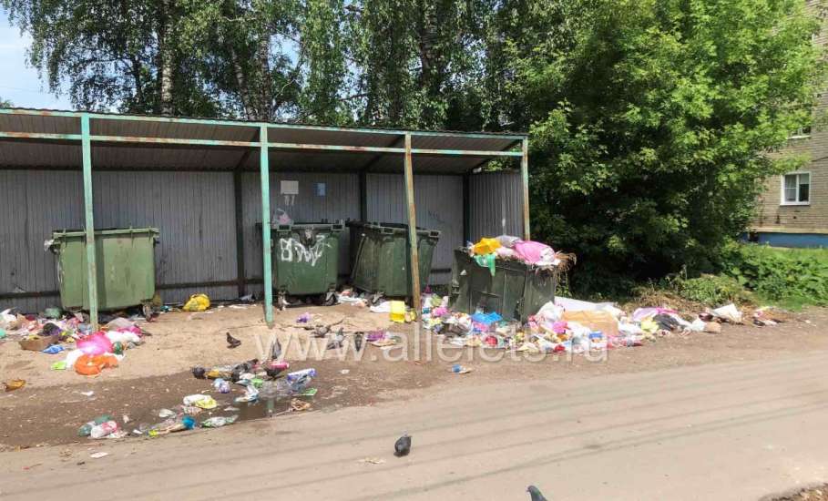 В Ельце продолжает царить антисанитария на контейнерных площадках по сбору мусора!