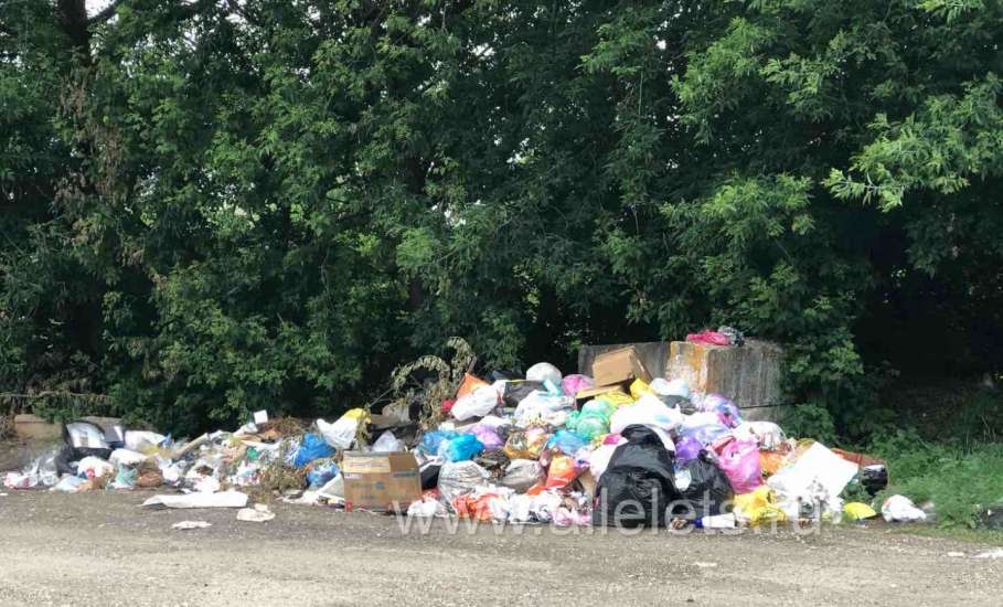 Большая свалка мусора обнаружилась сегодня в 5-м микрорайоне города Ельца, рядом с МФЦ по улице Коммунаров!