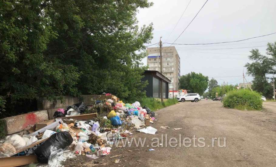 Большая свалка мусора обнаружилась сегодня в 5-м микрорайоне города Ельца, рядом с МФЦ по улице Коммунаров!