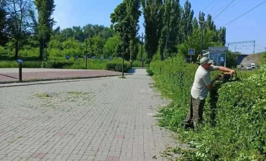 В эфире новости зелёной моды: сквер Ленина на пике стиля! Стрижка только началась!