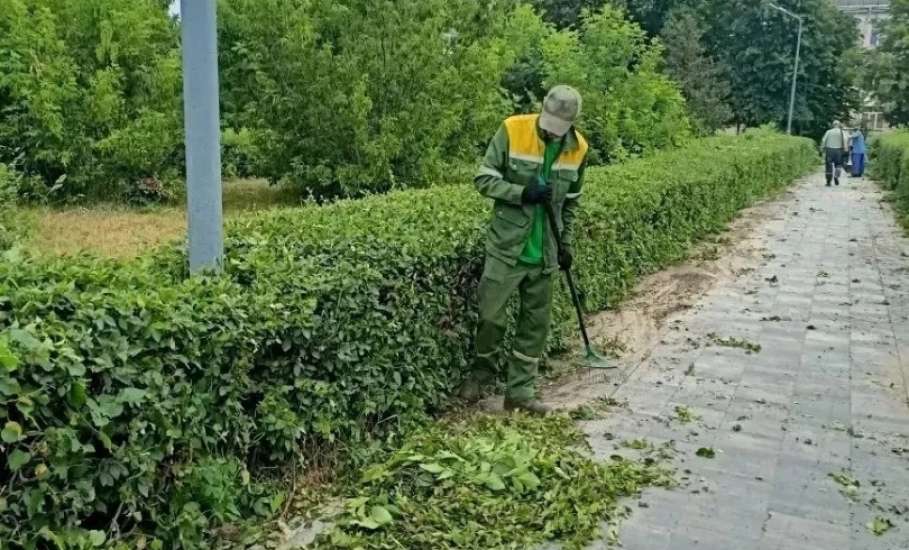 В эфире новости зелёной моды: сквер Ленина на пике стиля! Стрижка только началась!