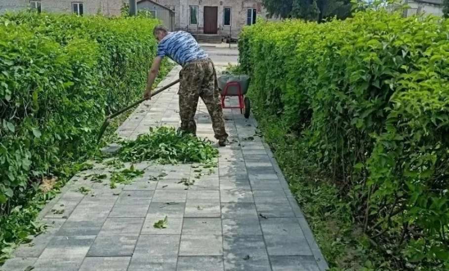 В эфире новости зелёной моды: сквер Ленина на пике стиля! Стрижка только началась!
