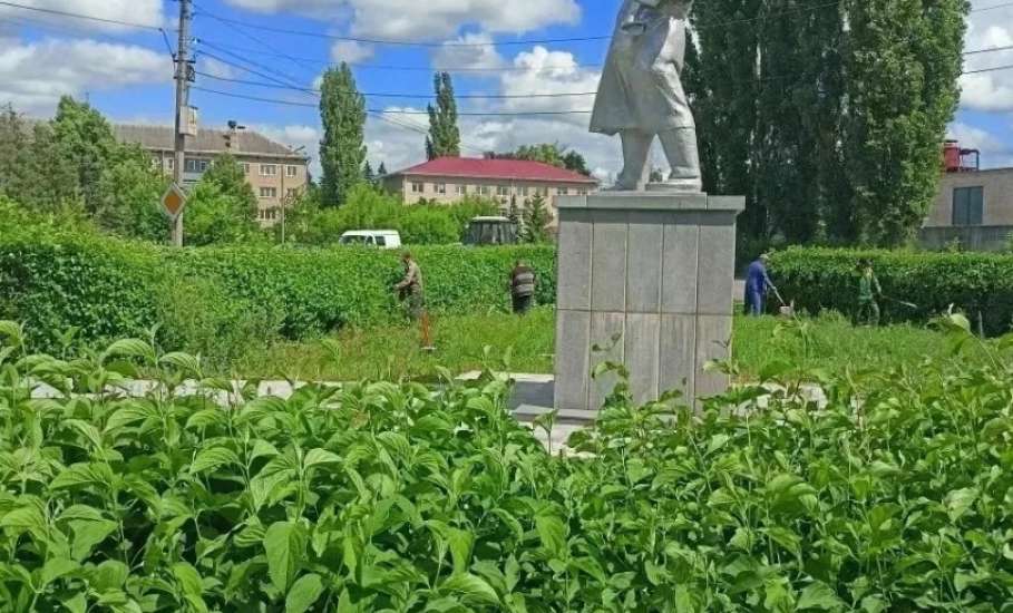 В эфире новости зелёной моды: сквер Ленина на пике стиля! Стрижка только началась!