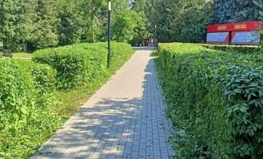 В эфире новости зелёной моды: сквер Ленина на пике стиля! Стрижка только началась!