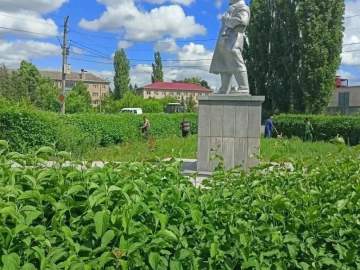 В эфире новости зелёной моды: сквер Ленина на пике стиля! Стрижка только началась!