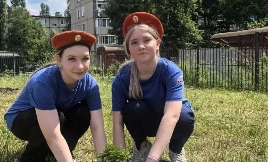 В рамках акции &laquo;Сад памяти&raquo; обучающиеся школы №24 им. Героя РФ Н. И. Семочкина высадили туи на территории школы