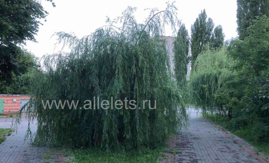 Отбой &laquo;Красного уровня-Угроза атаки БПЛА&raquo;