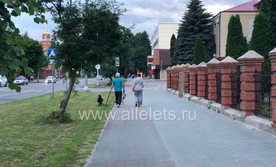 Уважаемая администрация города Ельца! Просим обязать подрядную организацию установить знаки обозначения велодорожки по улице Коммунаров!