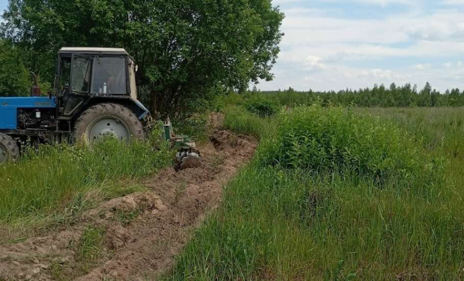 Охрана лесов от пожаров: протоколы, штрафы, термоточки