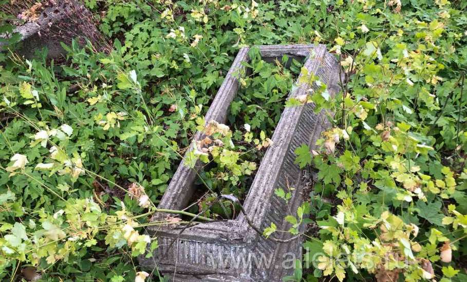 Пост про культуру. Городское еврейское кладбище в Ельце нуждается в благоустройстве и сохранении!