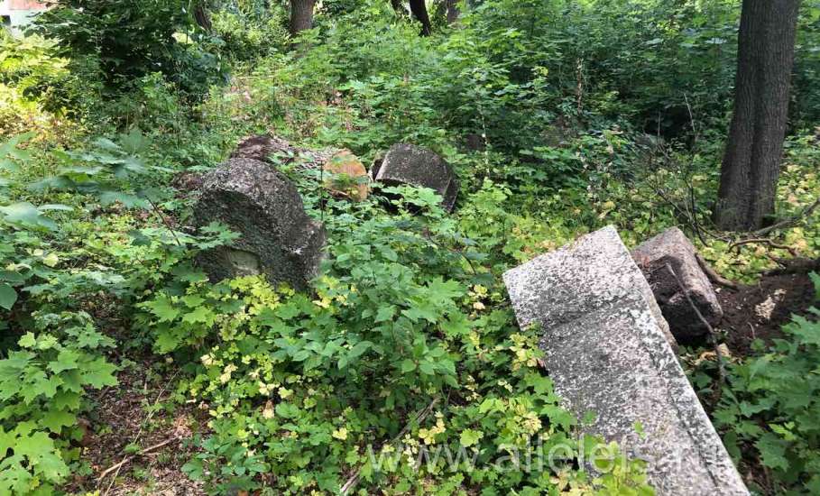 Пост про культуру. Городское еврейское кладбище в Ельце нуждается в благоустройстве и сохранении!