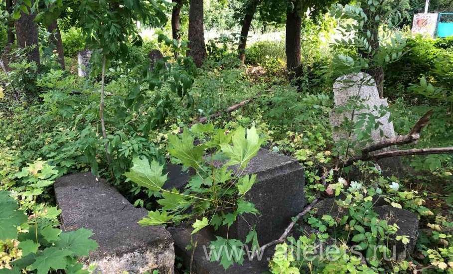 Пост про культуру. Городское еврейское кладбище в Ельце нуждается в благоустройстве и сохранении!