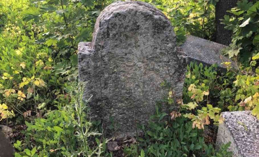 Пост про культуру. Городское еврейское кладбище в Ельце нуждается в благоустройстве и сохранении!