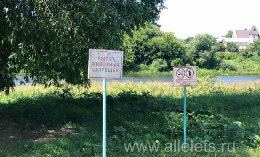 Обстановка на городском пляже сегодня в Ельце: загорай, не хочу!