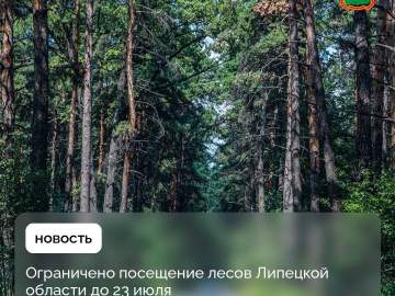 В Липецкой области действует ограничение на посещение лесов и въезд в них на транспорте &ndash; с 3 по 23 июля