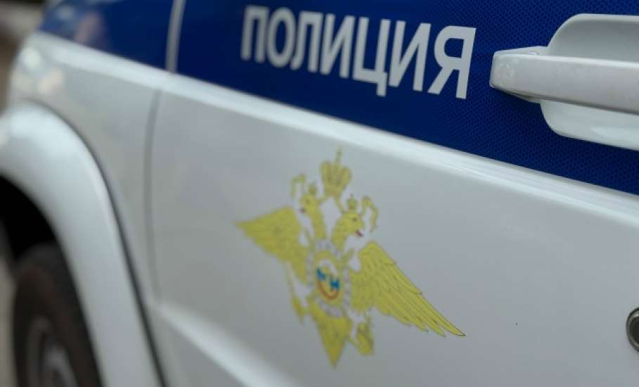 Горе-грабитель из Ельца воровал цыплят с подельником. Поймали обоих