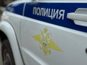 Горе-грабитель из Ельца воровал цыплят с подельником. Поймали обоих