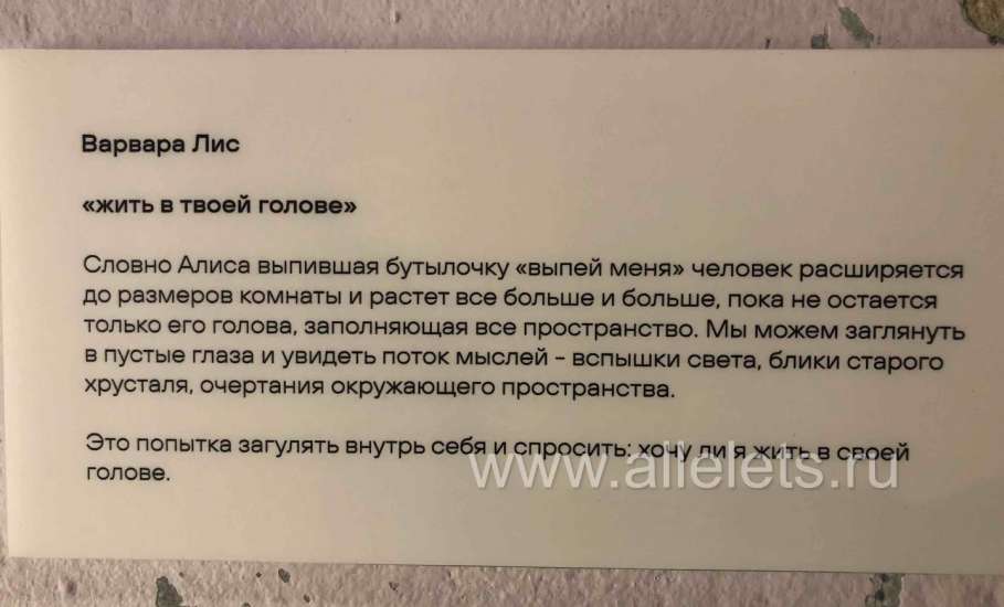 В самом сердце города Ельца открылось пространство волшебства!