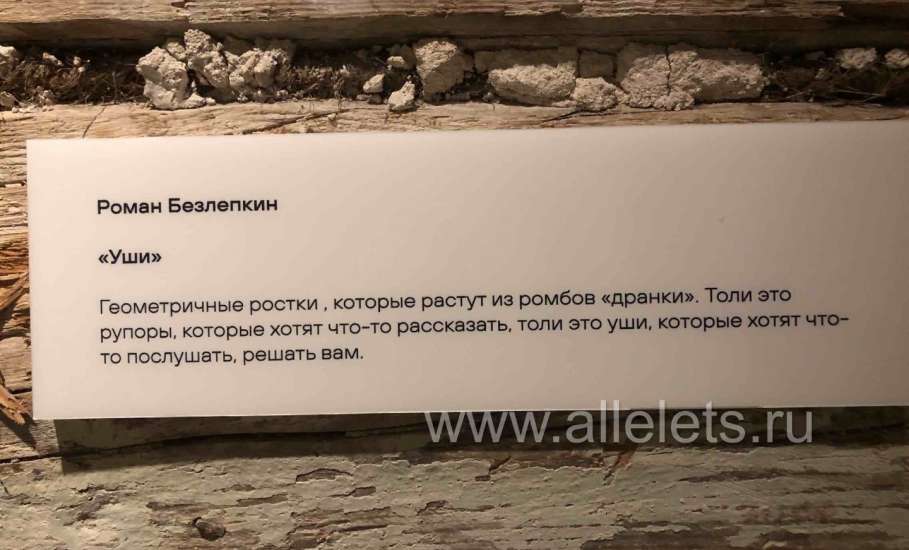 В самом сердце города Ельца открылось пространство волшебства!