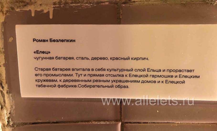В самом сердце города Ельца открылось пространство волшебства!