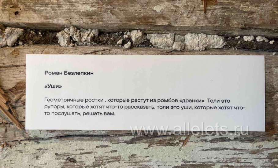 Вот и состоялся сегодня фестиваль современного искусства &laquo;Арт-Елец&raquo;!