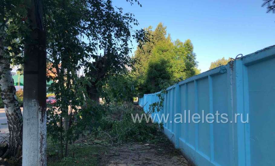 В Ельце по улице Льва Толстого перекрыли тротуар сучьями деревьев