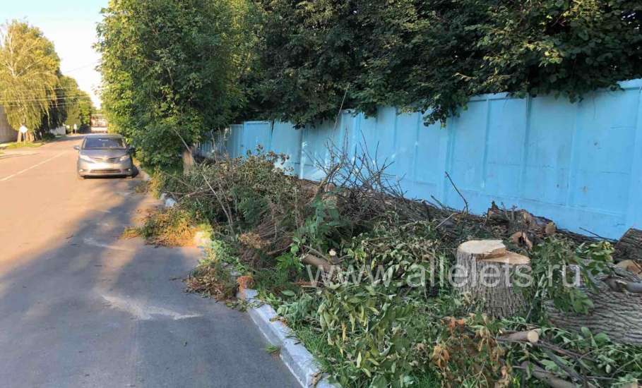 В Ельце по улице Льва Толстого перекрыли тротуар сучьями деревьев
