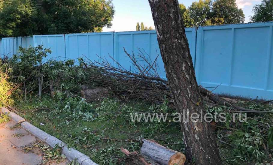 В Ельце по улице Льва Толстого перекрыли тротуар сучьями деревьев